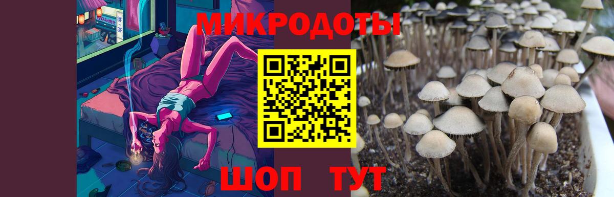 Шадринск  Псилоцибиновые грибы мицелий  Вход с VPN 